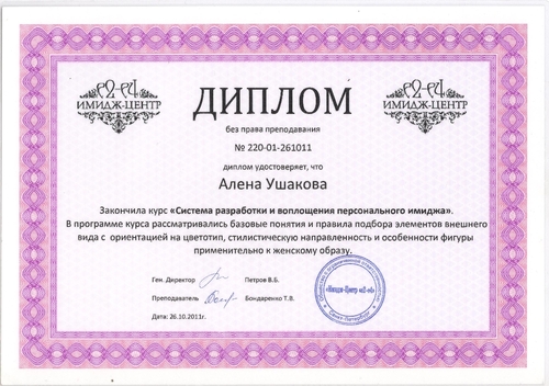 Продажа Товаров Через Интернет Магазин Диплом
